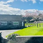 Cherry Blossom In Kettlesing