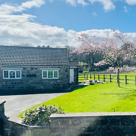 Cherry Blossom In Kettlesing