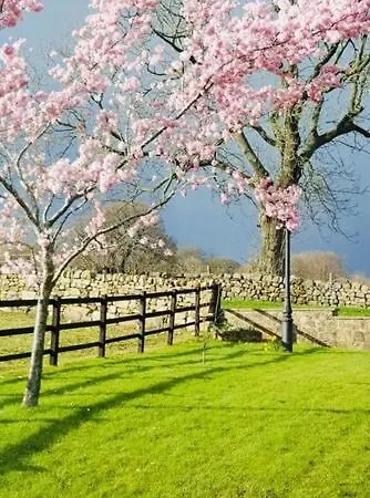 Cherry Blossom In Kettlesing Hébergement de vacances *