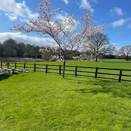 Cherry Blossom In Kettlesing Hébergement de vacances