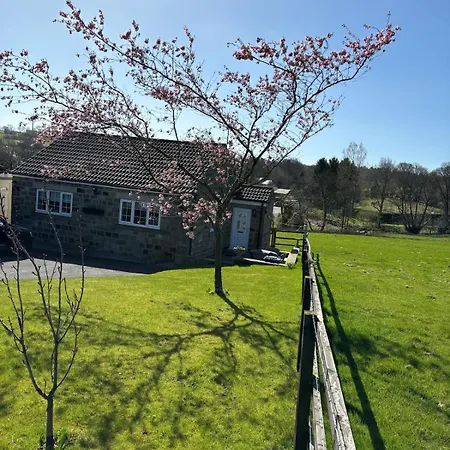Cherry Blossom In Kettlesing *