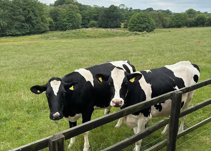 Cherry Blossom In Kettlesing Semesterbostad Birstwith