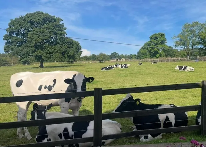 Cherry Blossom In Kettlesing * Birstwith