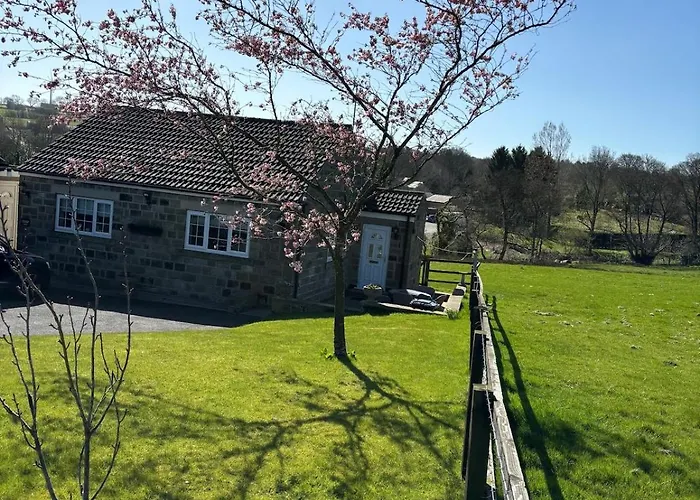 Cherry Blossom In Kettlesing *