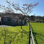 Cherry Blossom In Kettlesing *